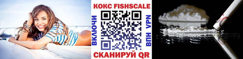 Купить закладки  Петухово  COCAIN VHQ 